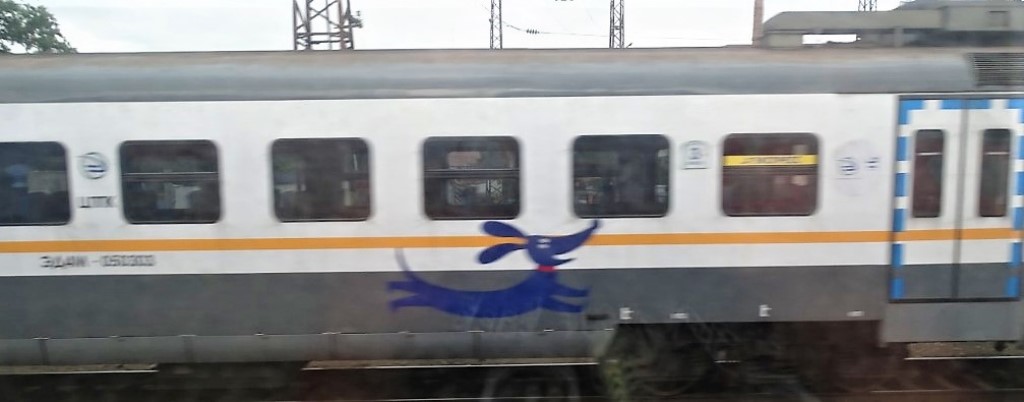 dsc05367 (medium) [1024x768]