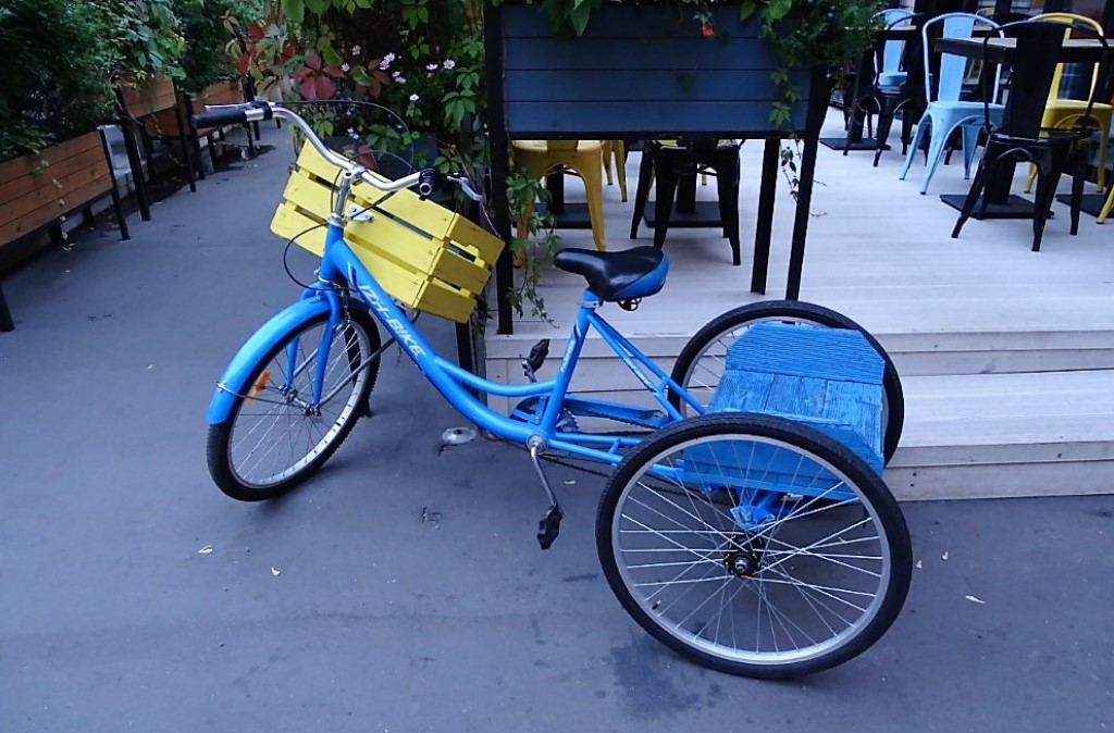 dsc05403 (medium) [1024x768]