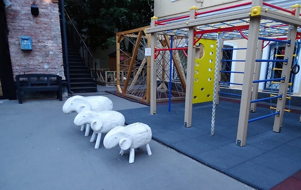 dsc05405 (medium) [1024x768]